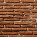 TT055 / Cotto